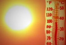 불쾌지수 높은 ‘여름’에 먹으면 딱 좋은 음식 6가지