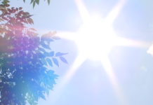 8월 제철 음식엔 ‘항암 성분’ 듬뿍~ 꼭 챙겨 드세요