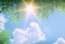 뜨거운 여름으로부터 피부 건강 지키는 법