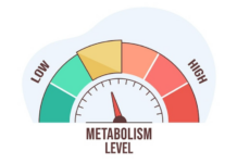 쉽지만 효과적인 ‘기초대사량’ 높이는 방법 5