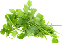 호불호 갈리는 음식 먹어야 하는 이유