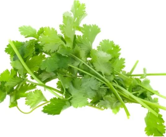 호불호 갈리는 음식 먹어야 하는 이유