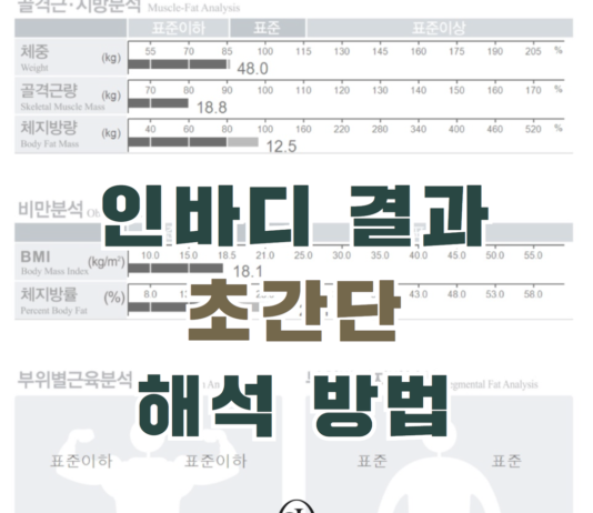 인바디 결과 초간단 해석 방법