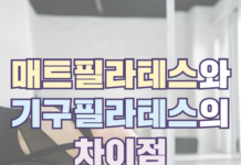 매트 필라테스와 기구 필라테스, 어떤 게 나에게 더 맞을까?