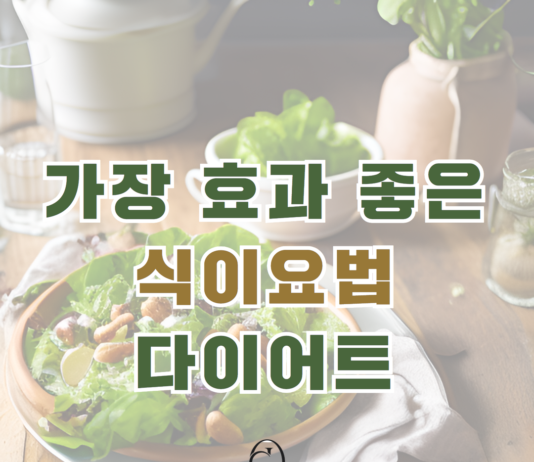 가장 효과적인 식이요법 다이어트