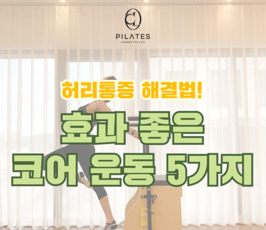 허리통증 해결법! 효과 좋은 코어 운동 5가지