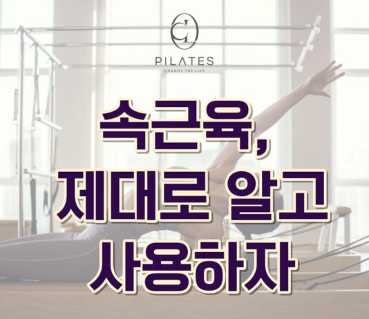 동백필라테스 ㅣ 속근육, 제대로 알고 사용하자