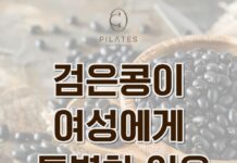 동백 필라테스 ㅣ 검은콩이 여성에게 특별한 이유