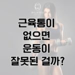 동백 필라테스 ㅣ 근육통이 없으면 운동이 잘못된 걸까?