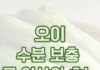 동백 필라테스 ㅣ 오이, 수분 보충 그 이상의 효능