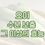 동백 필라테스 ㅣ 오이, 수분 보충 그 이상의 효능