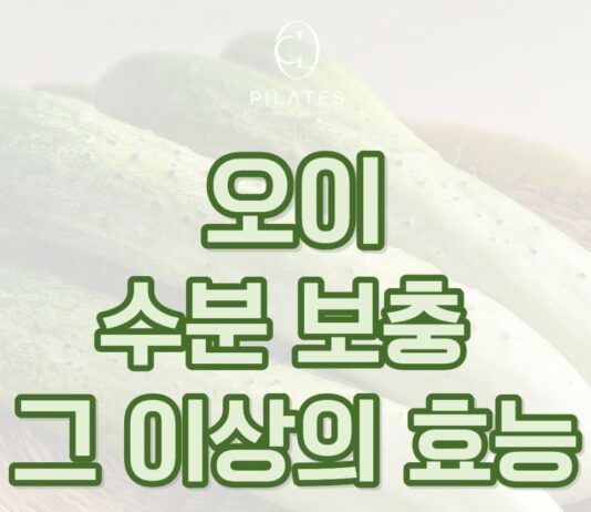 동백 필라테스 ㅣ 오이, 수분 보충 그 이상의 효능