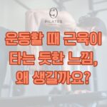동백 필라테스 ㅣ 운동할 때 근육이 타는 듯한 느낌, 왜 생길까요?